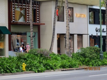 sth-2016-highlights-4